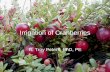 Irrigation of Cranberries - WSU Long Beach