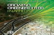 Growing greener cities in Africa. First status report on ...