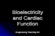 Bioelectricity and Cardiac Function