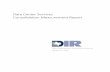 DCS Consolidation Measurement Report - Texas