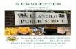 NEWSLETTER - llandilo-p.schools.nsw.gov.au