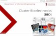Cluster Bioelectronics - ee.eng.chula.ac.th