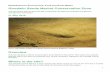 Goodwin Sands Marine Conservation Zone factsheet
