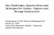 Key Challenges, Opportunities and Strategies for Carbon ...