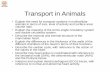Transport in Animals - WordPress.com