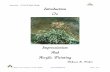 Impressionism…A Unit Of Acrylic Painting Introduction To