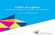 CEO Insights - Converge International