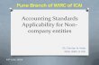 Accounting Standards Applicability for Non- company entities