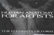 Human Anatomy for Artists Eliot Goldfinger