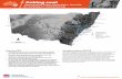 Coking coal opportunities in New South Wales