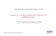 Lecture 2. Fundamentals and Theories of Self-Assembly