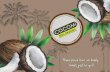 Cocomi Bio Organic | Home