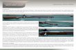 Sportco M44 Rifle ARMOURERS NOTES