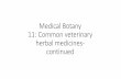 Medical Botany 11: Common veterinary herbal medicines ...