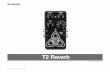 T2 Reverb - LuckyMusic