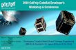 2019 CalPoly CubeSat Developer’s
