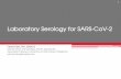 Laboratory Serology for SARS-CoV-2