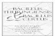 Bacillus thuringiensis Bacillus cereus - BGSC