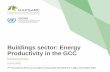 Buildings sector: Energy Productivity in the GCC