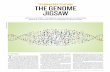 TECHNOLOGY FEATURE THE GENOME JIGSAW