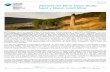 Nant y Mwyn Mine case study - Natural Resources Wales