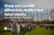 Sheep and cow milk differentially modify infant faecal ...