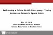 Addressing a Public Health Emergency: Taking Action on ...