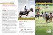 Licensed Trail Riding Stables/Guided Trail Rides