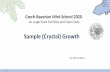 Sample (Crystal) Growth - mini-school