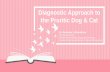 Diagnostic Approach to the Pruritic Dog & Cat