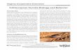 PUBLICATION 444-502 Subterranean Termite Biology and Behavior