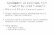 Adsorption of polymers from solution by solid surfaces