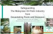 Safeguarding The Malaysian Oil Palm Industry from ...
