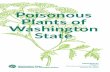 Poisonous Plants of Washington State