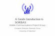 A Gentle Introduction to SORBAS - uni-paderborn.de