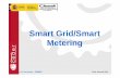 Smart Grid/Smart Metering