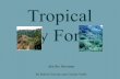 Tropical Dry Forest - jbcohenbiology / FrontPage