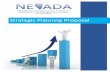 Strategic Planning Proposal - Nevada