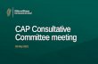 CAP Consultative Committee meeting