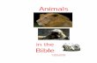 Book - Animals in the Bible
