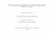 Spectroscopic Investigation of Chemiluminescence in ...