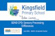 SEND CPD: Sensory Processing Differences