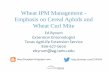 Wheat IPM Management - Emphasis on Cereal Aphids and Wheat ...