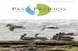 PASO PACÍFICO - GlobalGiving