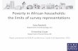 Poverty in African households: the limits of survey ...