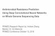 Antimicrobial Resistance Prediction Using Deep ...