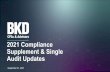 2021 Compliance Supplement & Single Audit Updates