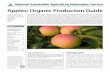 Apples: Organic Production Guide - WordPress.com