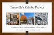 Trussville’s Cahaba Project