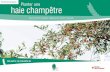 Planter une haie champêtre - pnr-vexin-francais.fr